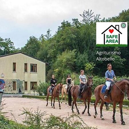 Agriturismo Altobello فيرونا المظهر الخارجي الصورة