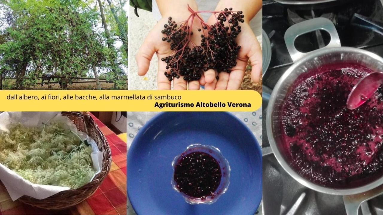 Agriturismo Altobello فيرونا المظهر الخارجي الصورة