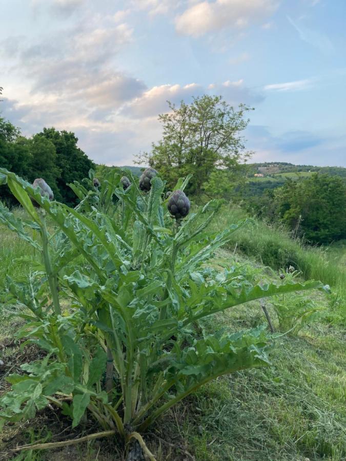 Agriturismo Altobello فيرونا المظهر الخارجي الصورة