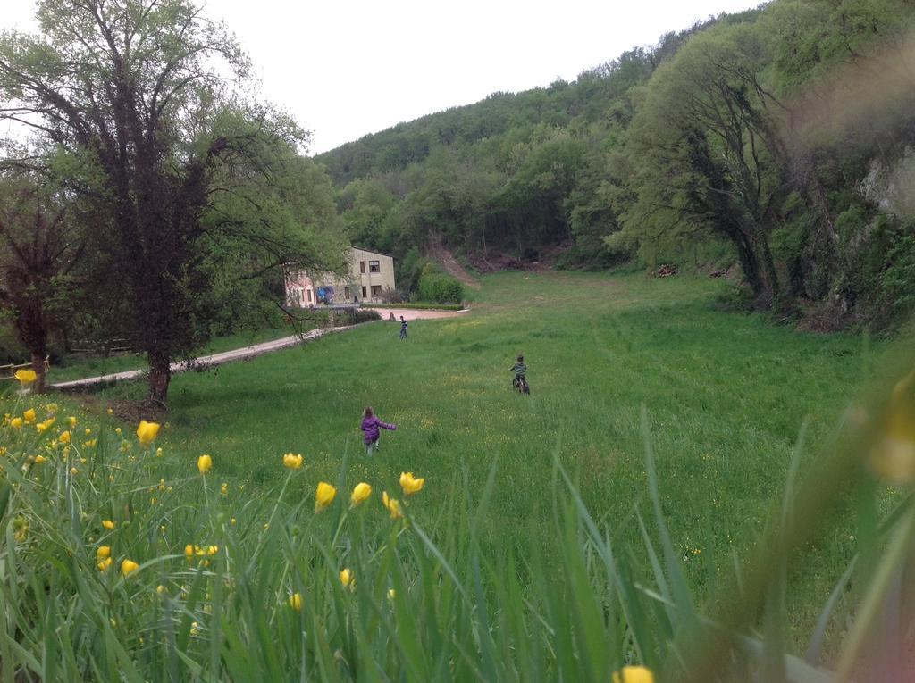 Agriturismo Altobello فيرونا المظهر الخارجي الصورة