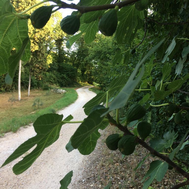 Agriturismo Altobello فيرونا المظهر الخارجي الصورة