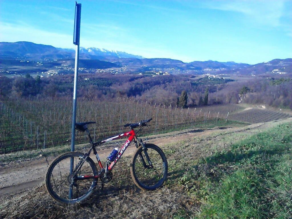 Agriturismo Altobello فيرونا المظهر الخارجي الصورة