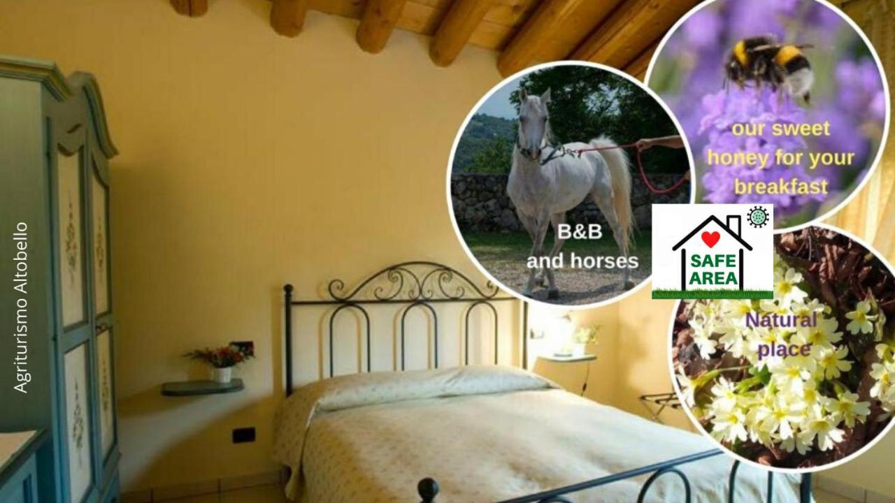 Agriturismo Altobello فيرونا المظهر الخارجي الصورة